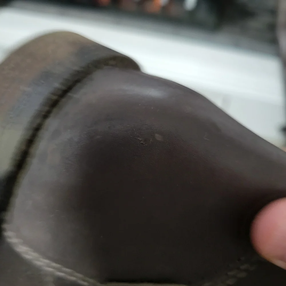 Enzo Angiolini enzo angiolini
